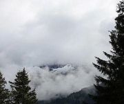 bg_img_1113.jpg