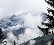 bg_img_1131.jpg