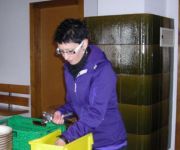 bg_DSCN5356.JPG