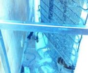 bg_IMG_0179.jpg