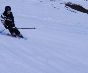 bg_Elm 2011_007.JPG