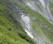 bg_P1000337.JPG
