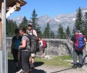 bg_IMG_8311.jpg