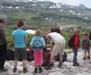 bg_IMG_8374.jpg